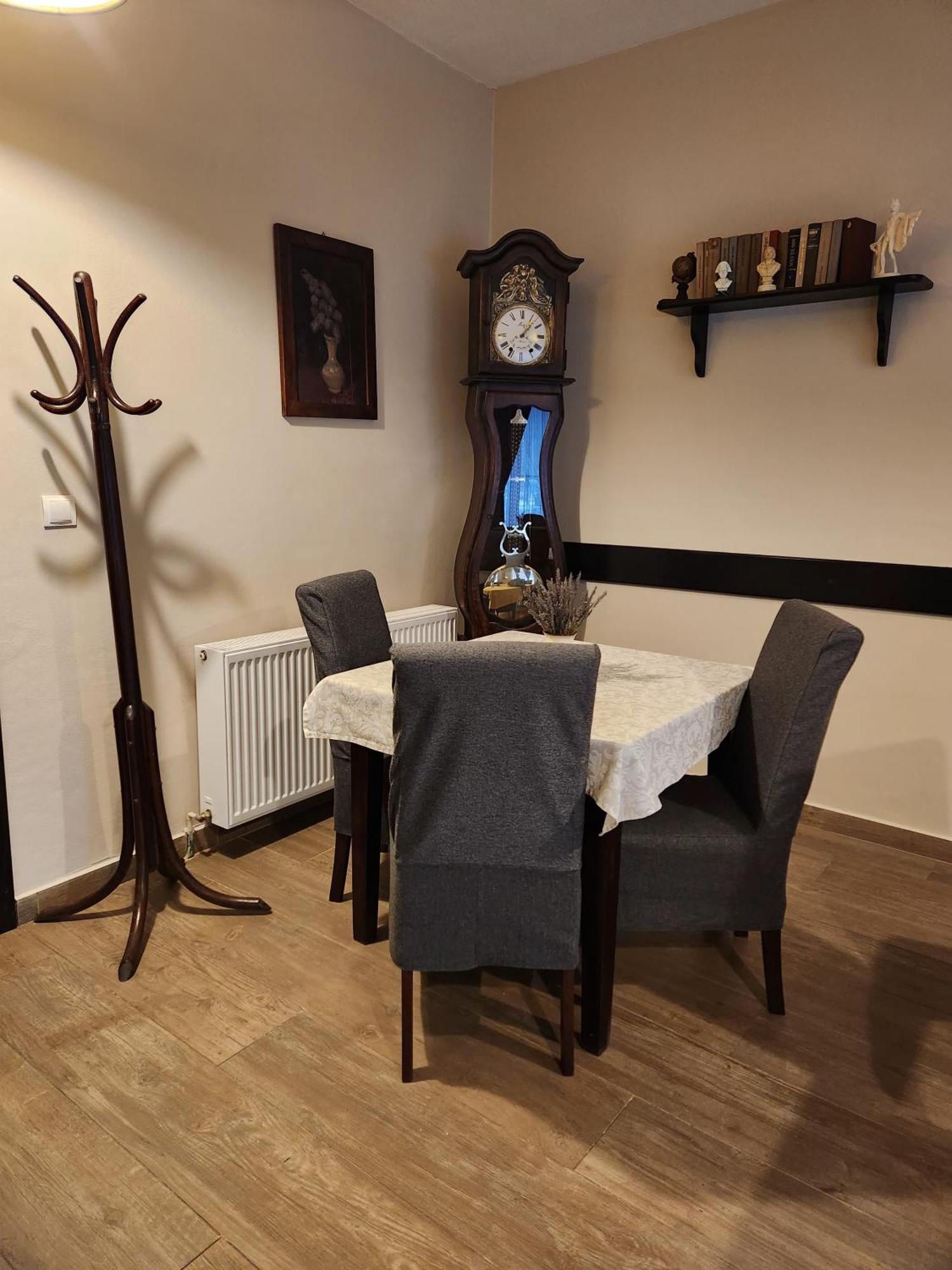 Pensiunea Iris Maison d'hôtes Sighetu Marmaţiei