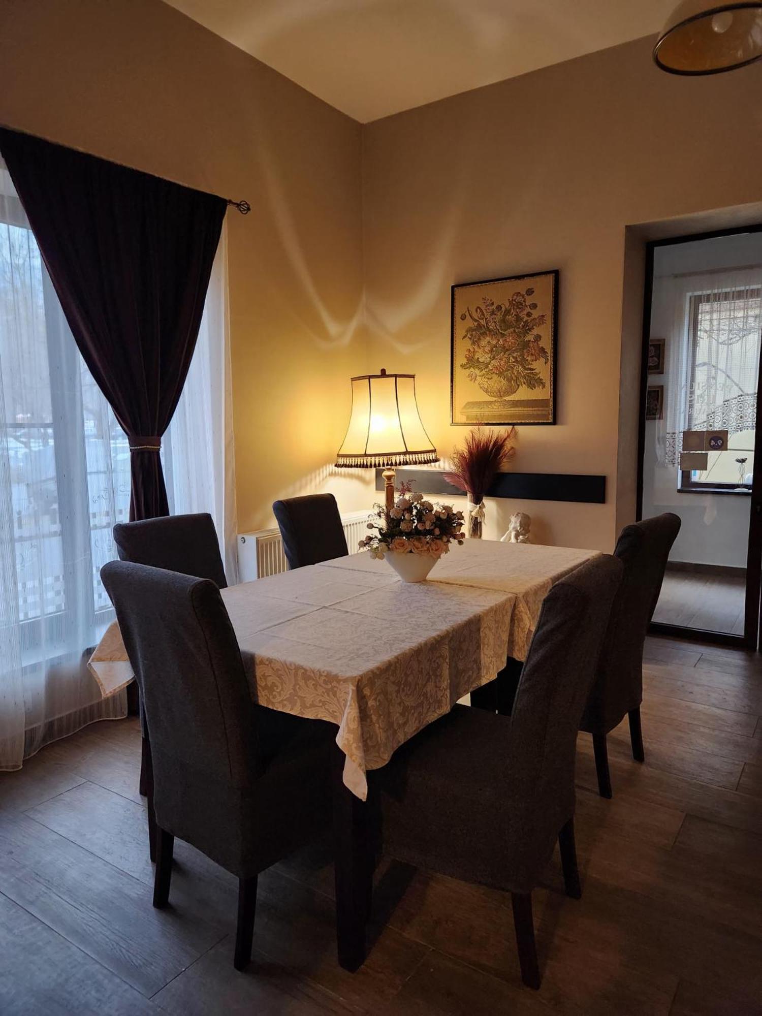Maison d'hôtes Pensiunea Iris Sighetu Marmaţiei
