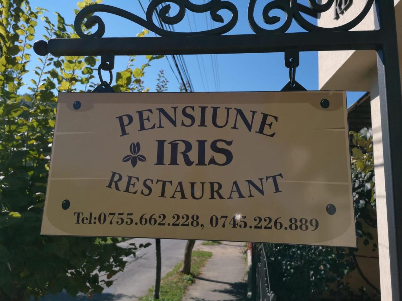Pensiunea Iris Maison d'hôtes Sighetu Marmaţiei